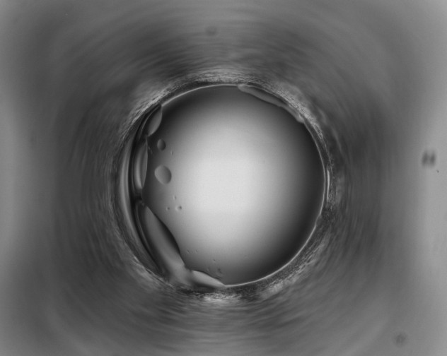 X0000098150109200804171622