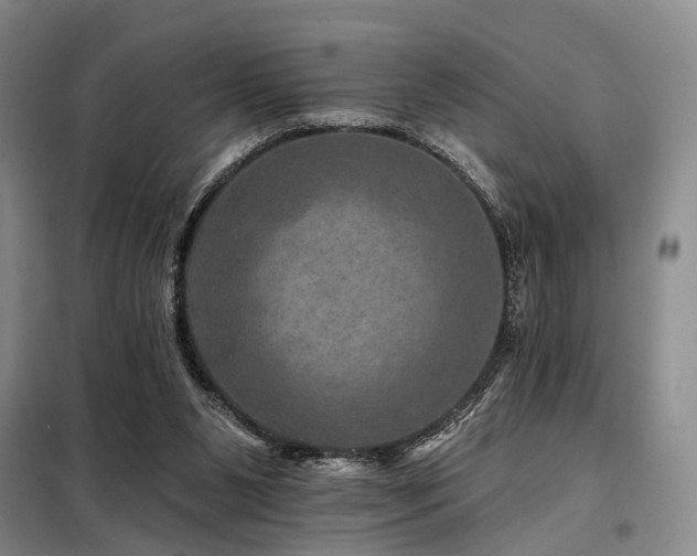 X0000098150111200804171622