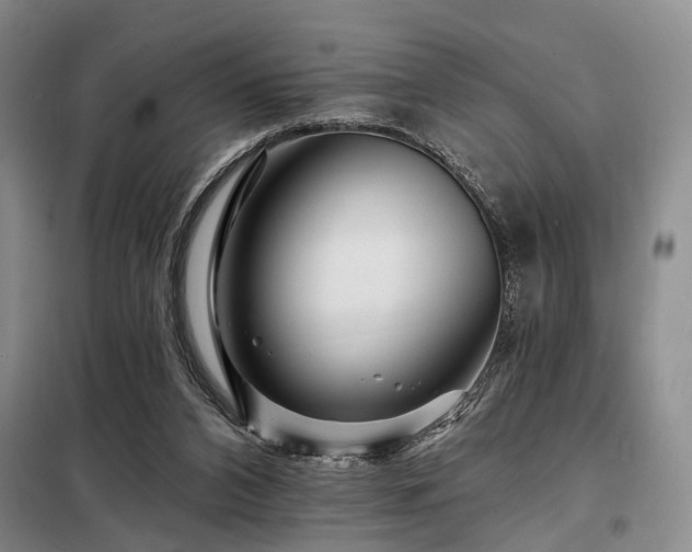X0000098150112200804171622