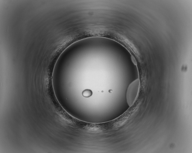 X0000098150113200804171622