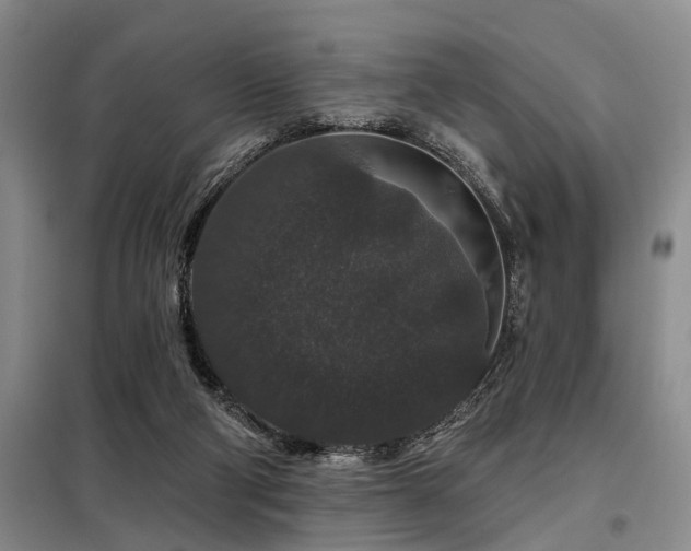 X0000098150114200804171622