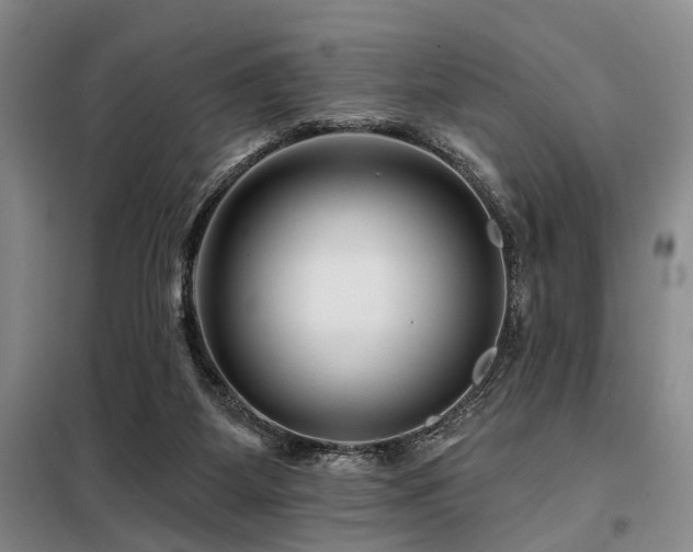 X0000098150115200804171622