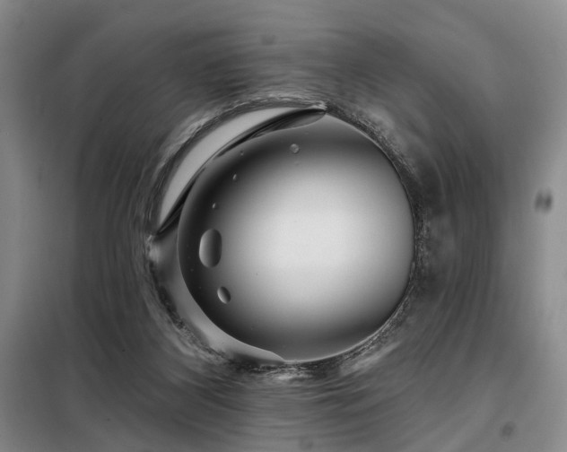 X0000098150116200804171622