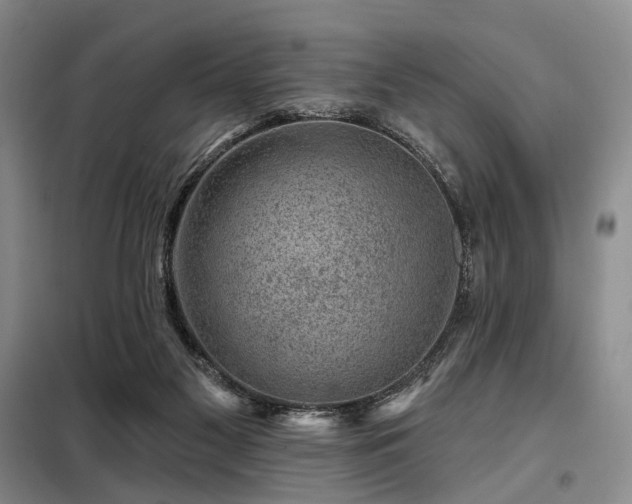 X0000098150117200804171622