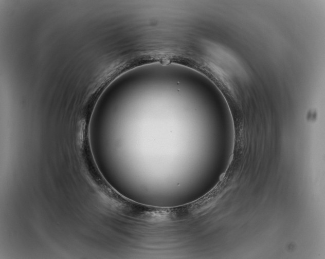 X0000098150118200804171622