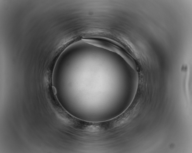 X0000098150119200804171622