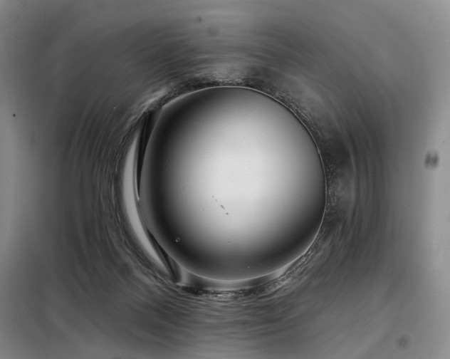 X0000098150120200804171622