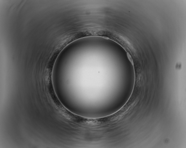 X0000098150121200804171622