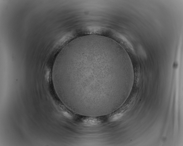 X0000098150123200804171622