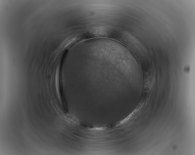 X0000098150124200804171622