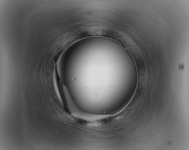 X0000098150125200804171622