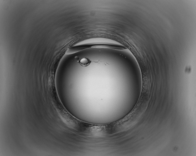X0000098150126200804171622