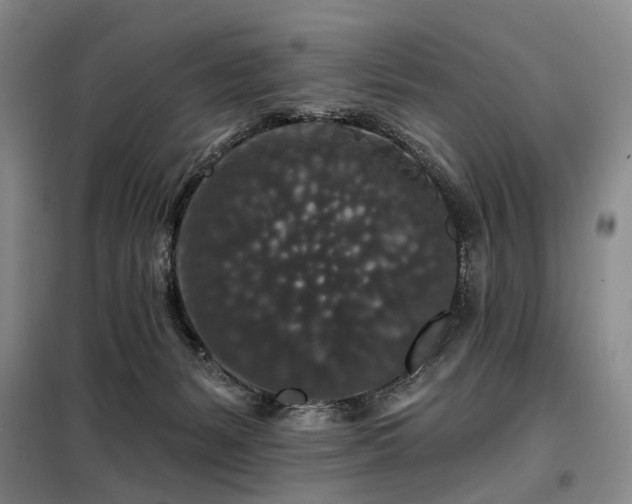 X0000098150127200804171622