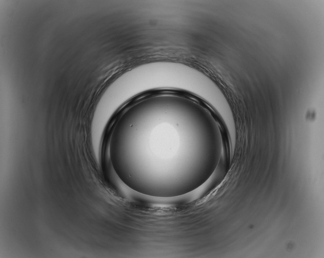X0000098150128200804171622