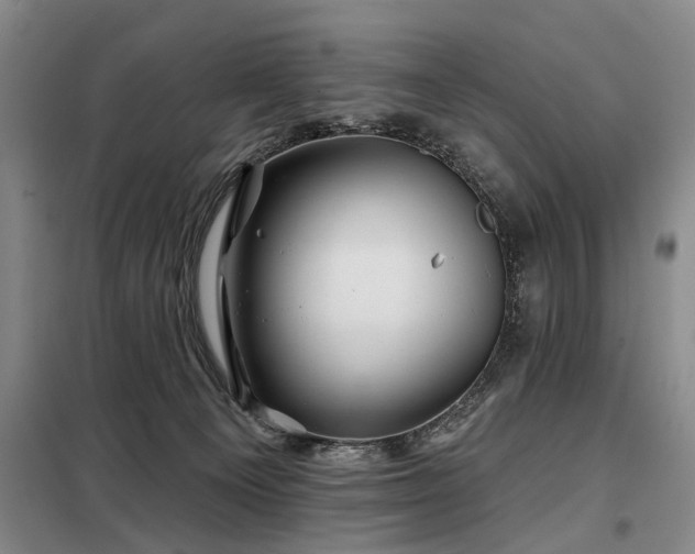 X0000098150129200804171622