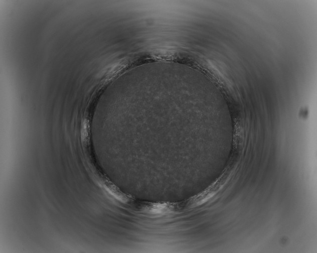 X0000098150130200804171622