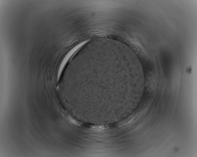 X0000098150131200804171622