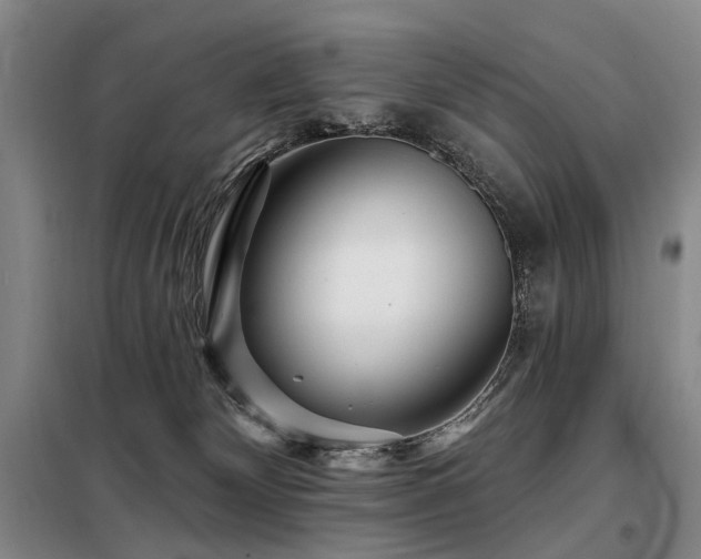 X0000098150132200804171622