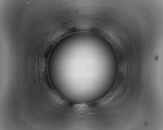 X0000098150133200804171622