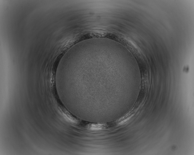 X0000098150134200804171622