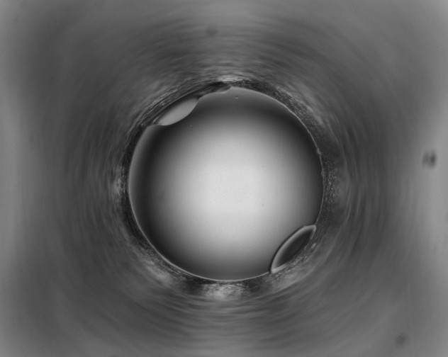 X0000098150135200804171622