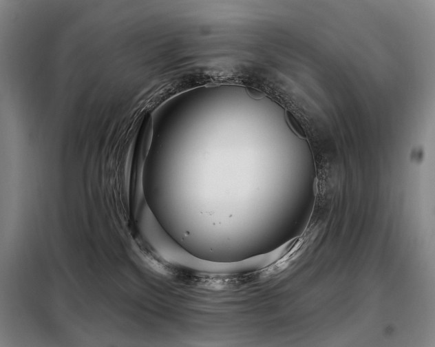 X0000098150136200804171622