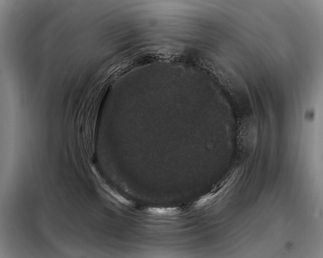 X0000098150137200804171622
