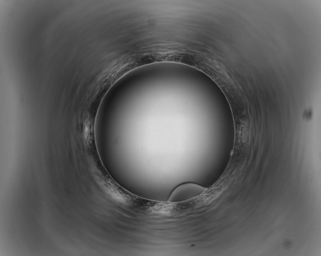 X0000098150138200804171622