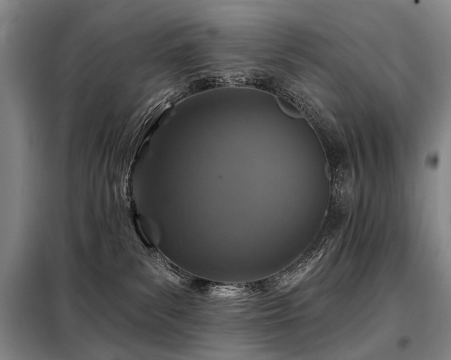 X0000098150139200804171622