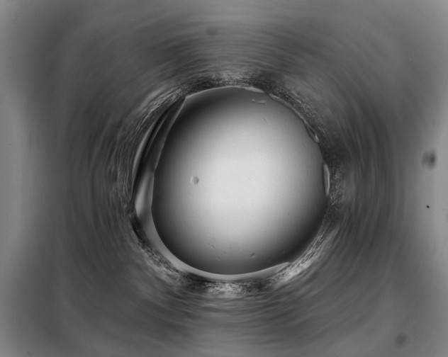X0000098150140200804171622