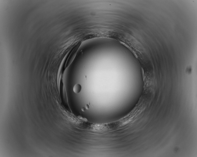 X0000098150141200804171622