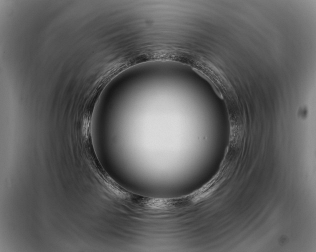 X0000098150142200804171622