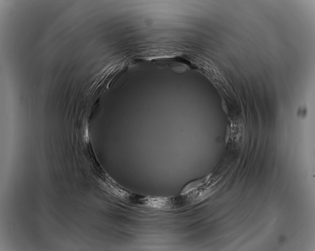 X0000098150143200804171622