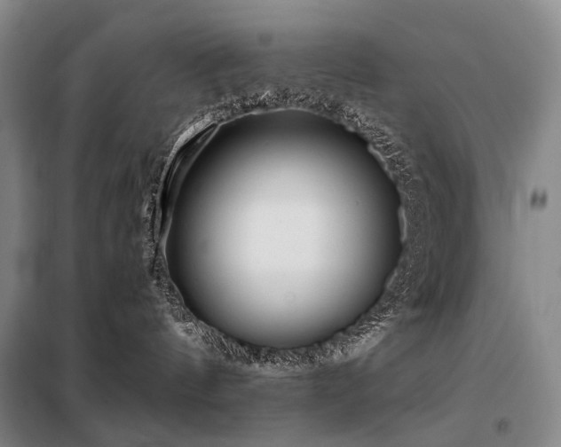 X0000098150144200804171622