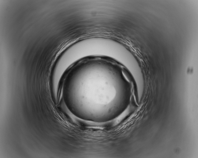 X0000098150146200804171621