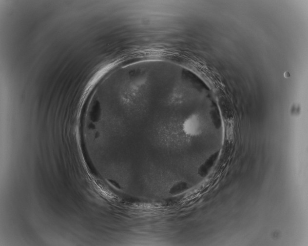 X0000098150147200804171621