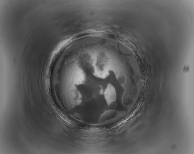 X0000098150149200804171621