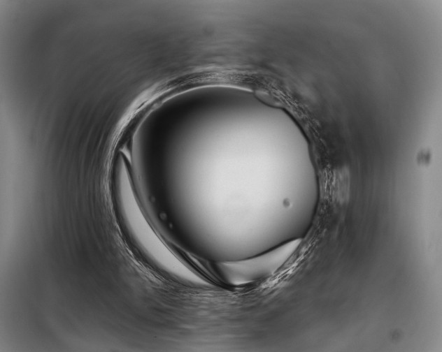 X0000098150150200804171621