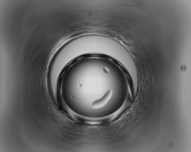 X0000098150152200804171621