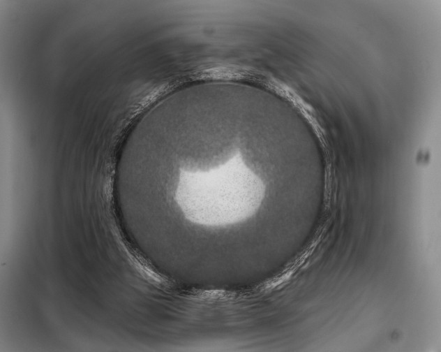 X0000098150153200804171621