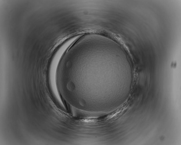 X0000098150154200804171621