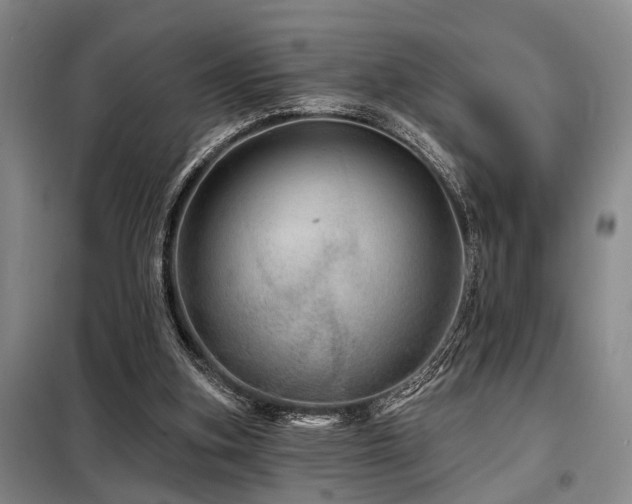 X0000098150155200804171621