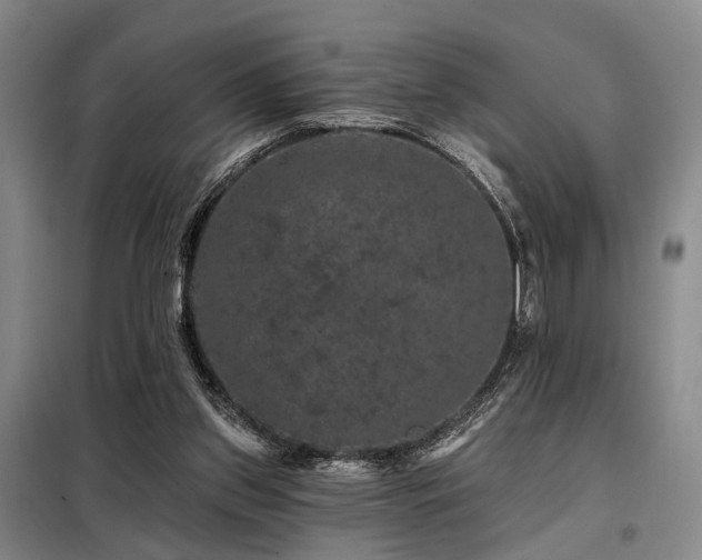 X0000098150157200804171621