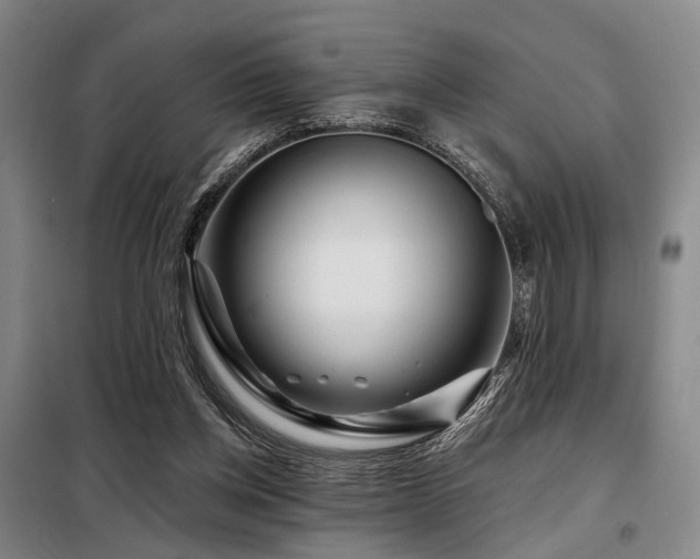 X0000098150158200804171621