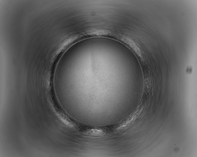 X0000098150159200804171621