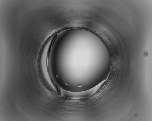 X0000098150160200804171621