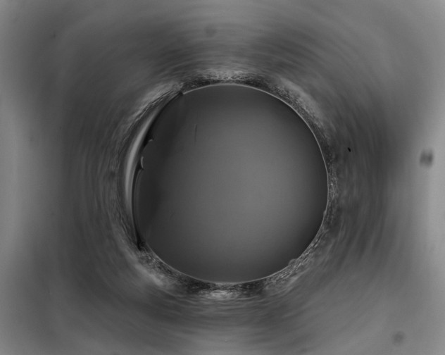 X0000098150163200804171621