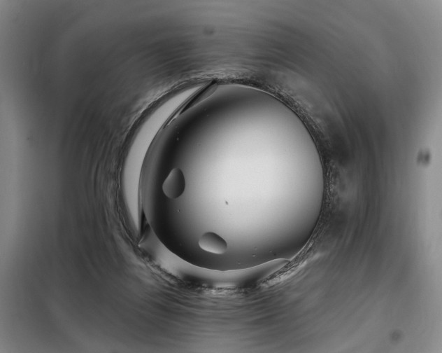 X0000098150164200804171621