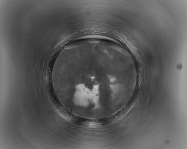 X0000098150165200804171621
