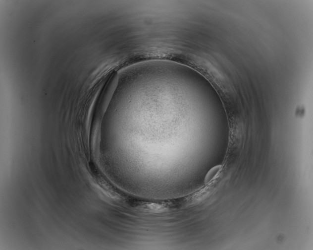 X0000098150166200804171621